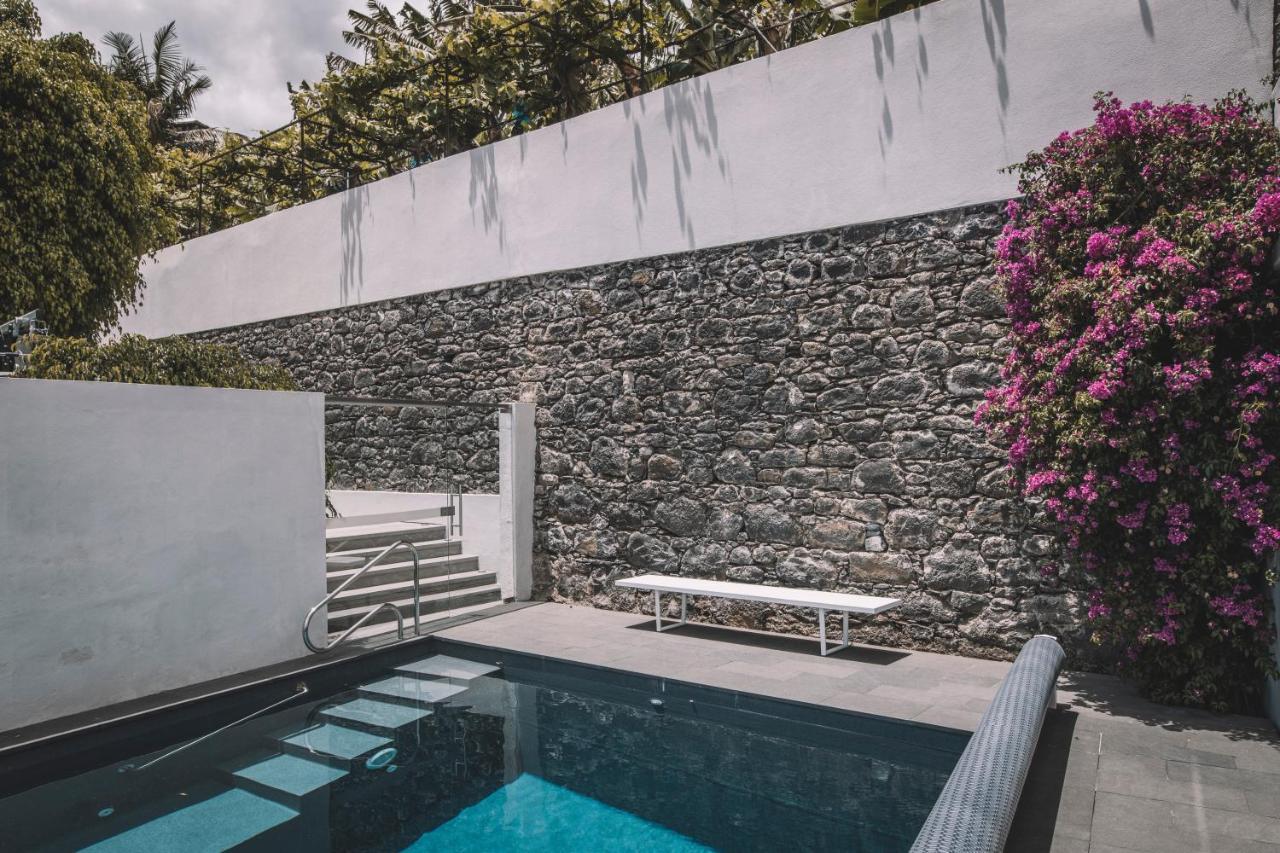 Torrinha Luxo Dream Wohnung Funchal  Ngoại thất bức ảnh
